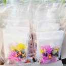 마포초교병설유치원 이미지