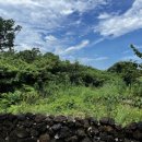 스테이 마넷 이미지