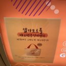 젤라또로플양주점