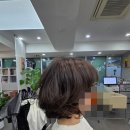 칼라헤어샵 | 분위기 전환 성공한 강남미용실 [더칼라라운지] 베이비컬펌 후기