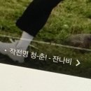 바이킹PC방 | 전부 소중했던 10월이니 전부 모아 살아갈래