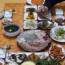 엉터리막썰이 | 거제옥포횟집, 회는 '엉터리막썰이'에서~