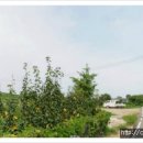 문곡보건진료소 이미지