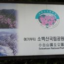 소백산국립공원 Daum카페