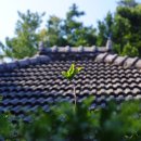 신안여관 이미지