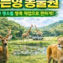 (주)더블유투어