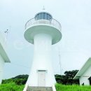봄, 공곶이 노란 수선화로 &#39;순례자의 길&#39; 열어…겨울, 공곶이 붉은 동백터널에 발길이 머문다
