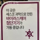 톰소여의 모험 | 안동숙소 톰소여의 모험 안동여행 가성비 감성숙소 추천