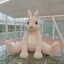 골든피스제주점