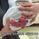 창원병원 | [경남/창원]모란여성병원 제왕절개 출산후기