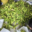 비석농장 이미지