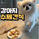 펫브로 | 강아지 수제간식 ㅣ 수제간식 맛집 펫브로 후기