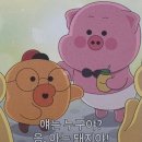청림건강연구소 | 산뜻한 하루의 시작을 도와주는 프리미엄 뷰티차, 청림건강연구소 '클린뷰티티' 후기