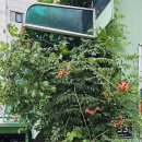 리라카정비 이미지