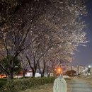 회성동128 이미지