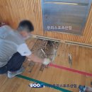 솔안초등학교 티스토리