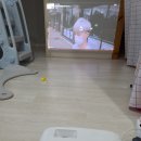 솔로몬기술단 이미지