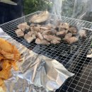 숲속의 둥지 이미지