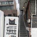 집사의하루 연남점 이미지