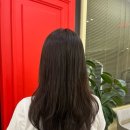 볼륨매직 진짜 잘하는 곳!! 대전 탄방동 미용실 라비드헤어 내돈내산 솔직후기 / 볼륨매직과 매직세팅 차이