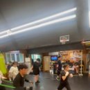 성현미트 이미지