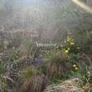 정릉68 | [한옥뷰 찻집] 서울 성북 북악산 정릉 카페 추천 _ 차담by 갤러리 더 스퀘어(메뉴,주차,가격,정보)