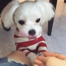 모모네일&속눈썹 이미지