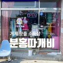 분홍따개비