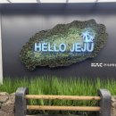 부띠끄스테이스놉 | 제주 여자 혼자 여행 숙소 후기(부티크 스테이 스놉 호텔/ 스테이 다랑쉬 / 북호텔 / 스카이호텔) 따로...
