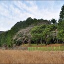 법기수원지 이미지