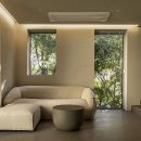 아프레투아 이미지