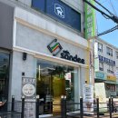 샌디(sandee) 네이버블로그