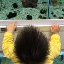 정문호소아과의원 이미지