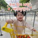 태양농원 | 아기와 가기 좋은 부여 딸기 체험 농원 태양의절기