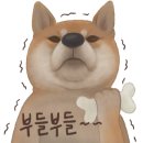 스시쿄다이 - 서귀포시 동홍남로 53 | 스시쿄다이