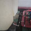 서울덕수초교 수영장 이미지