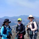 태백고원 700 산소길 | 태백 연화산
