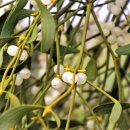 자비손한의원 이미지