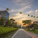 동국대학교 미래융합대학원 이미지