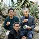 (주)제주알로에