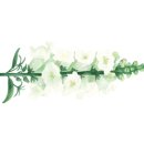 일미참치앤스시 이미지