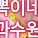 뽁이네