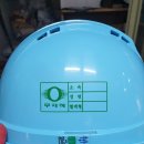 고성나염