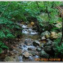 대야산자연휴양림 이미지