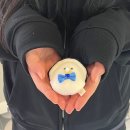 회의정석 | [천호/암사] 대광어 숙성회의 정석! 이한진숙성회 솔직 후기 평일 웨이팅 주차 가격 포장