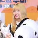 모모그린 이미지