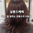 에스엘모텔 - 경주시 충효4길 9-7 | 중단발c컬펌 잘하는 상록수역미용실 살롱드쎄쎄