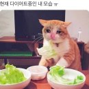더샌드위치샵 이미지