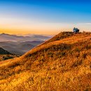 억새2축구장 이미지