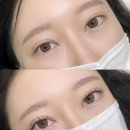 다르수